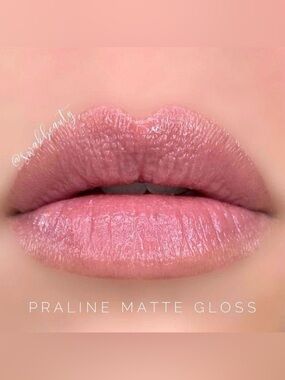 LipSense Praline Matte Lip Gloss - NEW WITH TAGS